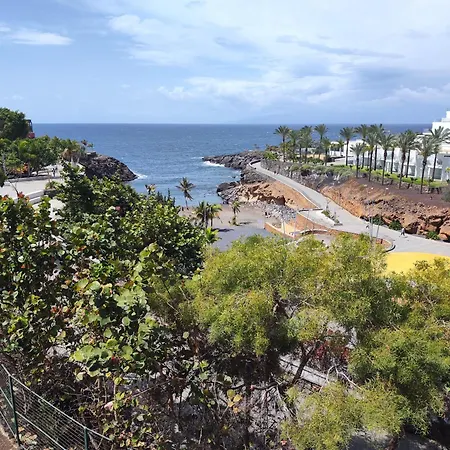 Olga Paraiso Del Sur Daire Playa Paraiso (Tenerife)
