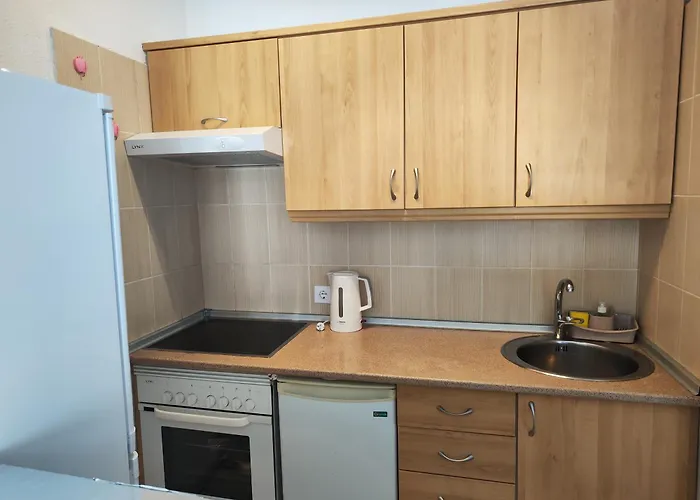 Olga Paraiso Del Sur Apartament *